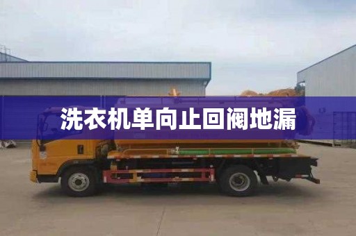 洗衣机单向止回阀地漏