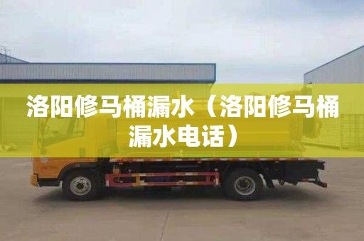 洛阳修马桶漏水（洛阳修马桶漏水电话）