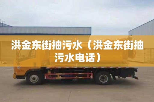 洪金东街抽污水（洪金东街抽污水电话）