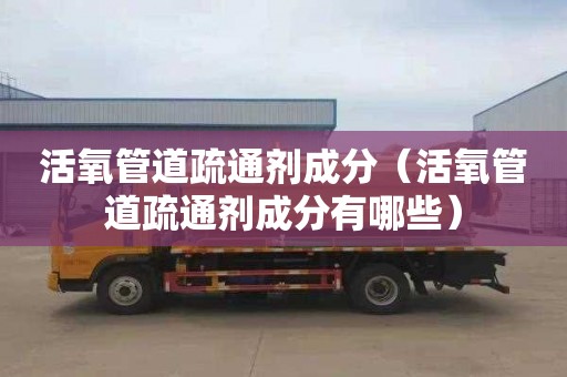 活氧管道疏通剂成分（活氧管道疏通剂成分有哪些）