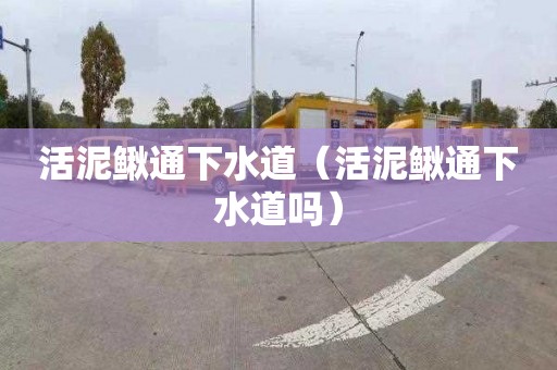 活泥鳅通下水道（活泥鳅通下水道吗）