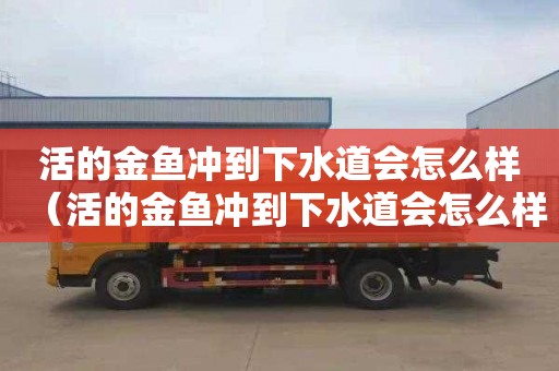 活的金鱼冲到下水道会怎么样（活的金鱼冲到下水道会怎么样吗）