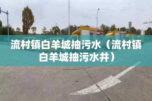 流村镇白羊城抽污水（流村镇白羊城抽污水井）