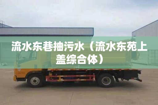 流水东巷抽污水（流水东苑上盖综合体）