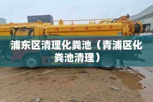浦东区清理化粪池（青浦区化粪池清理）
