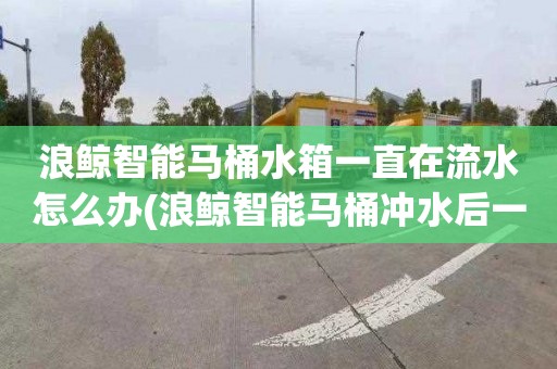 浪鲸智能马桶水箱一直在流水怎么办(浪鲸智能马桶冲水后一直漏水)