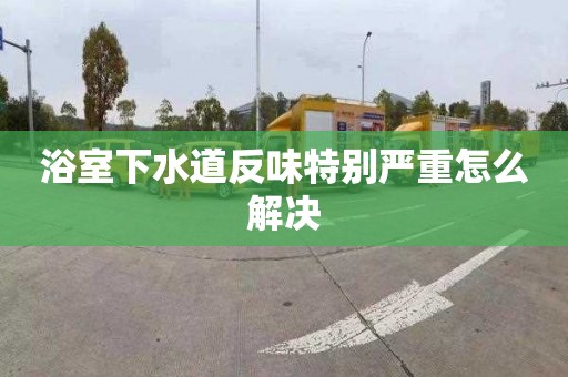 浴室下水道反味特别严重怎么解决