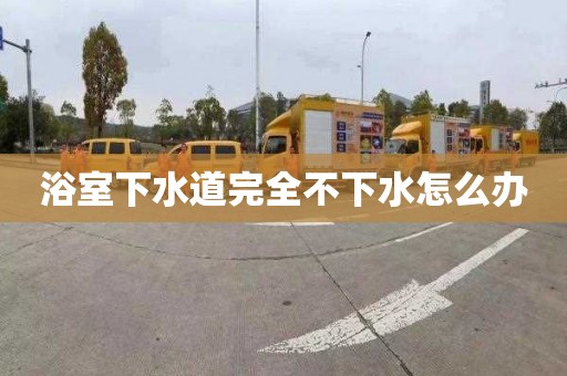 浴室下水道完全不下水怎么办