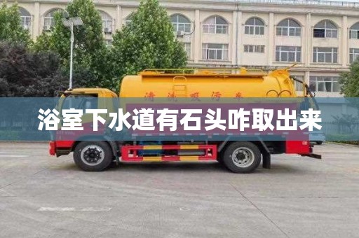 浴室下水道有石头咋取出来