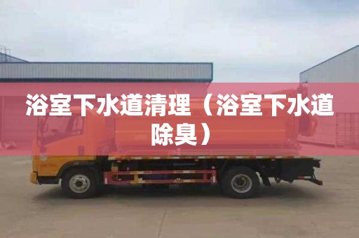 浴室下水道清理（浴室下水道除臭）
