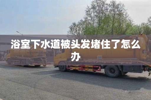 浴室下水道被头发堵住了怎么办
