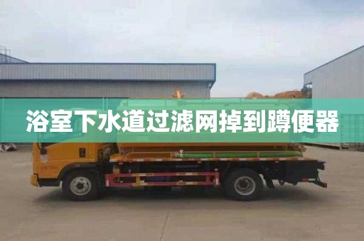 浴室下水道过滤网掉到蹲便器