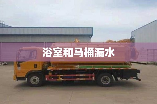 浴室和马桶漏水