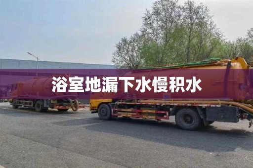浴室地漏下水慢积水