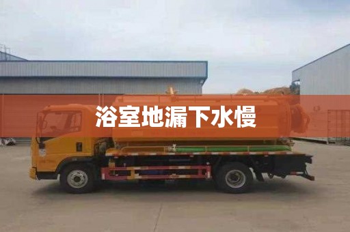浴室地漏下水慢