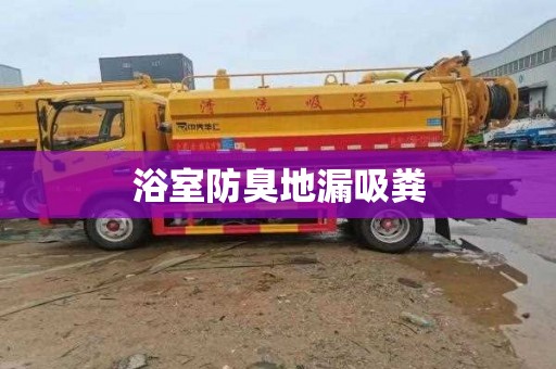 浴室防臭地漏吸粪