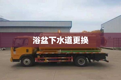 浴盆下水道更换
