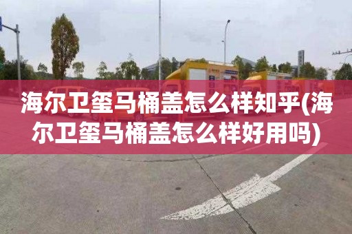 海尔卫玺马桶盖怎么样知乎(海尔卫玺马桶盖怎么样好用吗)