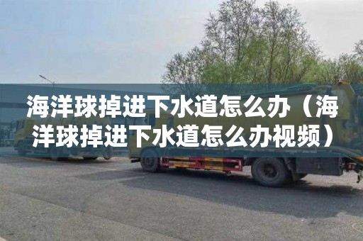 海洋球掉进下水道怎么办（海洋球掉进下水道怎么办视频）