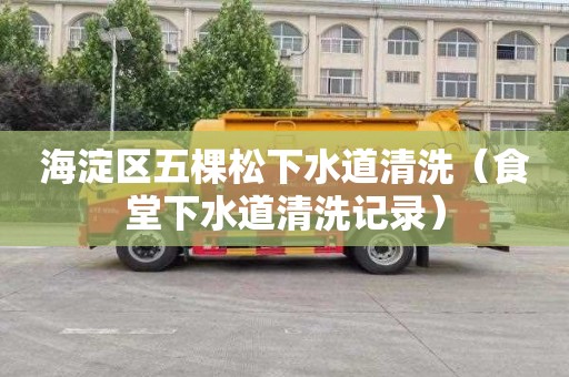 海淀区五棵松下水道清洗（食堂下水道清洗记录）