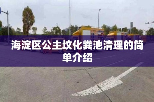 海淀区公主坟化粪池清理的简单介绍