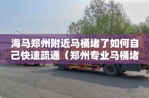 海马郑州附近马桶堵了如何自己快速疏通（郑州专业马桶堵塞上门维修）