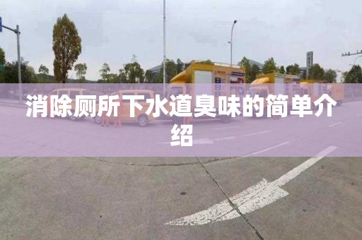 消除厕所下水道臭味的简单介绍