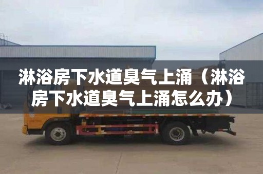 淋浴房下水道臭气上涌（淋浴房下水道臭气上涌怎么办）