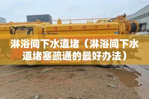 淋浴间下水道堵（淋浴间下水道堵塞疏通的最好办法）