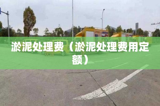淤泥处理费（淤泥处理费用定额）