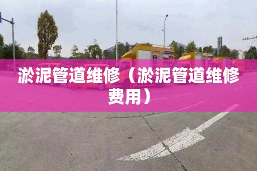 淤泥管道维修（淤泥管道维修费用）