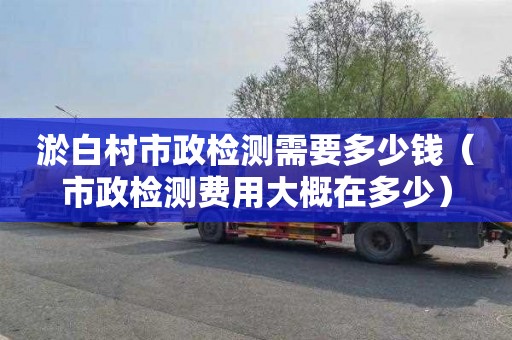 淤白村市政检测需要多少钱（市政检测费用大概在多少）