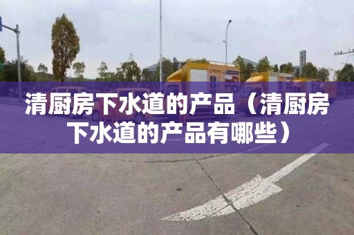 清厨房下水道的产品（清厨房下水道的产品有哪些）