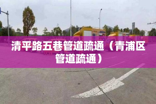 清平路五巷管道疏通（青浦区管道疏通）
