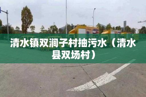 清水镇双涧子村抽污水（清水县双场村）
