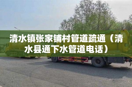 清水镇张家铺村管道疏通（清水县通下水管道电话）