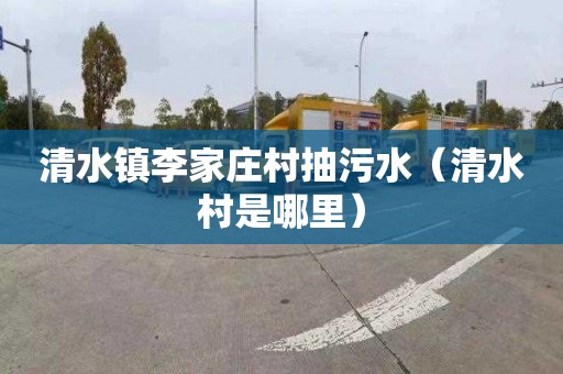 清水镇李家庄村抽污水（清水村是哪里）