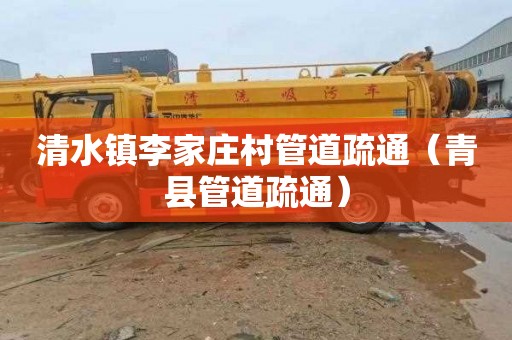 清水镇李家庄村管道疏通（青县管道疏通）