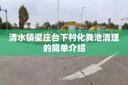 清水镇梁庄台下村化粪池清理的简单介绍