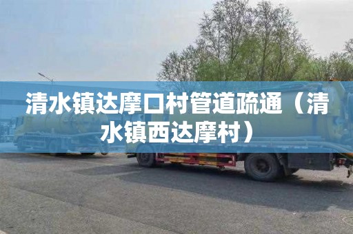 清水镇达摩口村管道疏通（清水镇西达摩村）