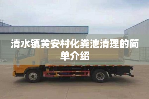 清水镇黄安村化粪池清理的简单介绍