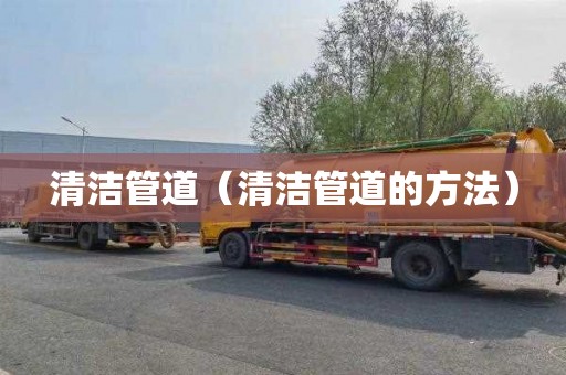 清洁管道（清洁管道的方法）