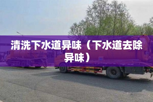 清洗下水道异味（下水道去除异味）