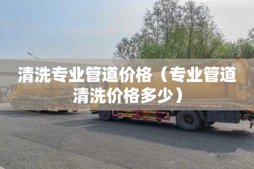 清洗专业管道价格（专业管道清洗价格多少）