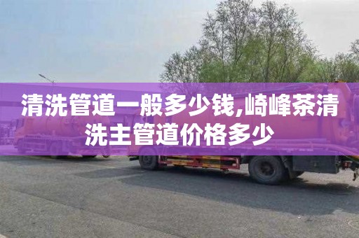 清洗管道一般多少钱,崎峰茶清洗主管道价格多少