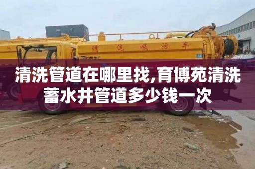 清洗管道在哪里找,育博苑清洗蓄水井管道多少钱一次