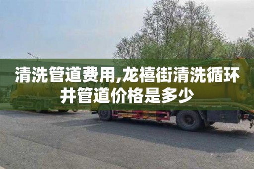 清洗管道费用,龙禧街清洗循环井管道价格是多少