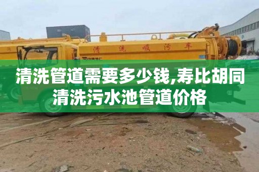 清洗管道需要多少钱,寿比胡同清洗污水池管道价格