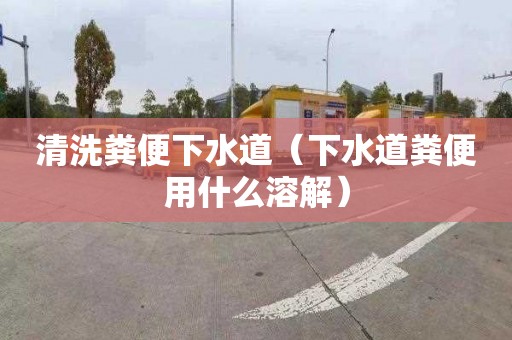 清洗粪便下水道（下水道粪便用什么溶解）