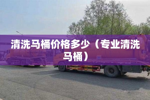 清洗马桶价格多少（专业清洗马桶）